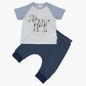 Baby boy zebra set