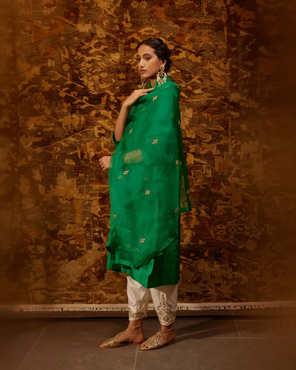 Bulbul green tunic with trousers-2