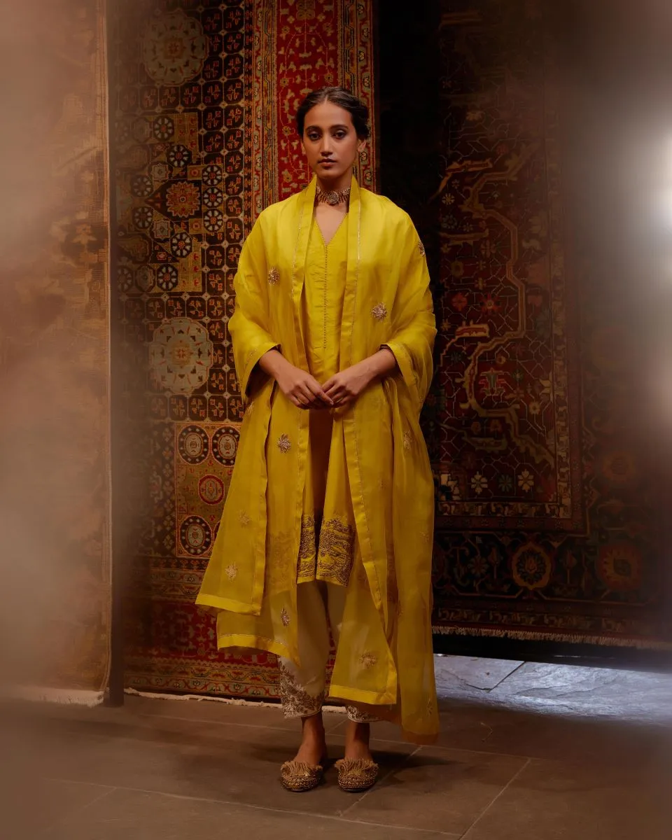 Bulbul mustard tunic with trousers-3
