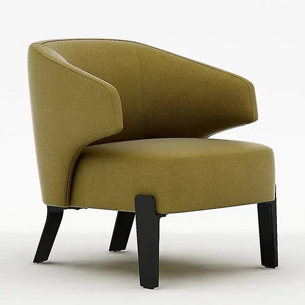 Embrace Lounge Chair by Camerich