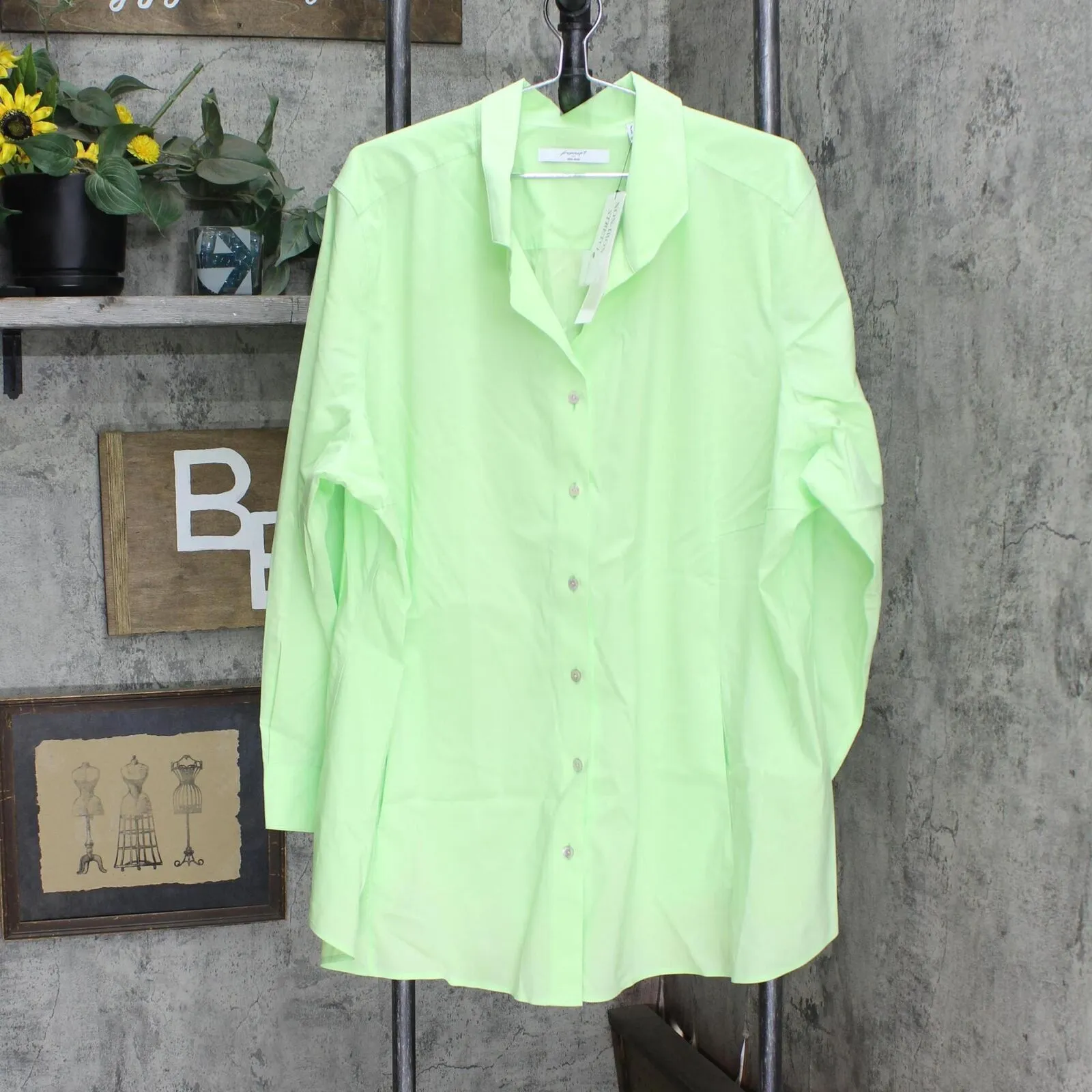 Foxcroft Womens Cecila Long Sleeve Stretch Tunic Shirt Top Sweet Kiwi Green 24W
