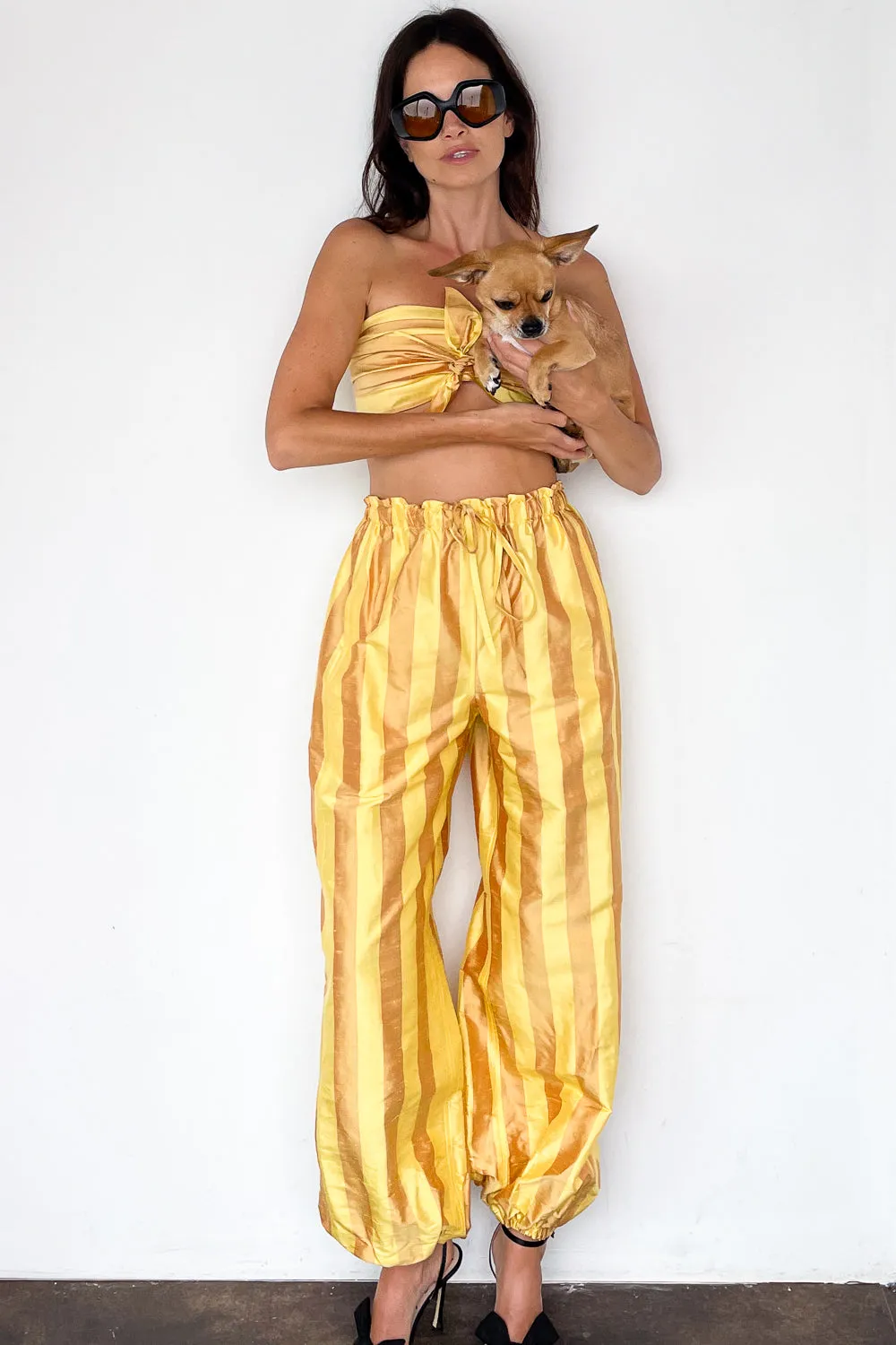 Genie Pant