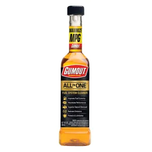 Gumout All in One Fuel System Cleaner 10oz.