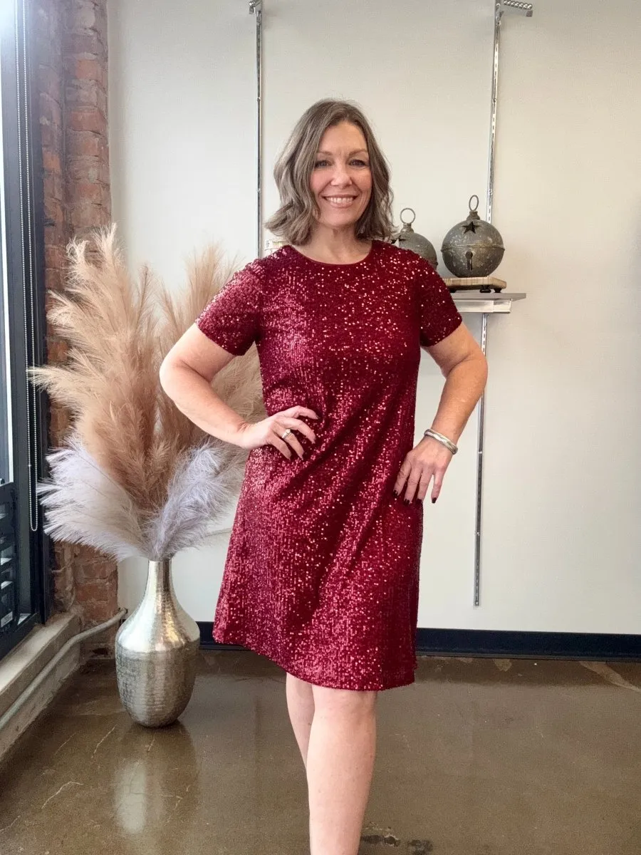 Short Sleeve Sequin Shift Dress
