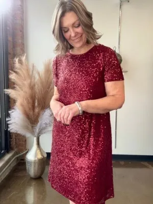 Short Sleeve Sequin Shift Dress