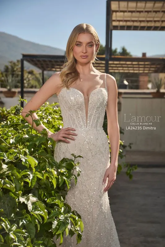 Size 12 L'amour LA24235 Dimitra Ivory/Light Nude Gown